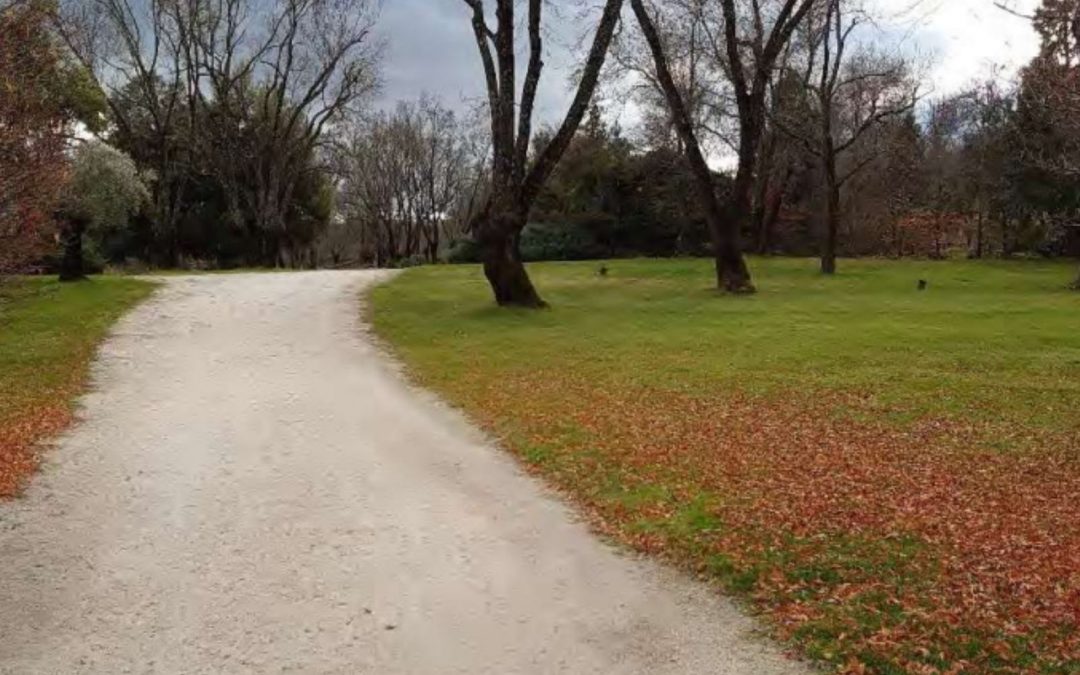 Finca en VALDEMORILLO
